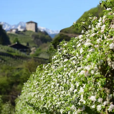 Stamserhof * נאלס
